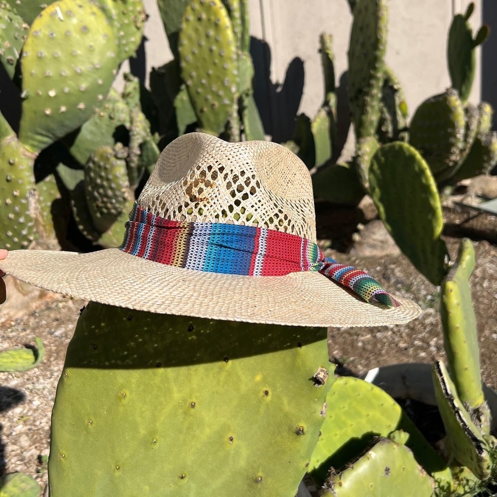 Charlie 1 Horse Fiesta Sarape Straw Hat